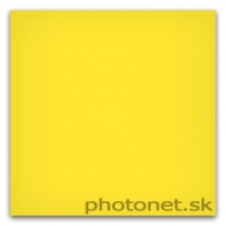 LEE Filters LEE100 8 Yellow Standard