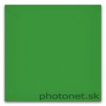 LEE Filters LEE100 11 Yellowish Green Standard