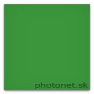 LEE Filters LEE100 11 Yellowish Green Standard