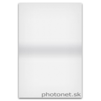 LEE Filters LEE100 Mist Stripe